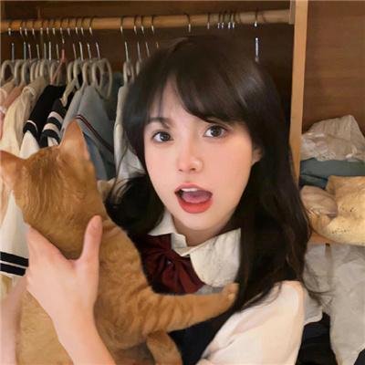 新吊带袜天使